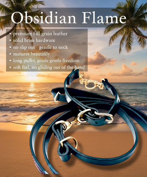 Coordinated Pair - Martingale Collar & Training Leash
